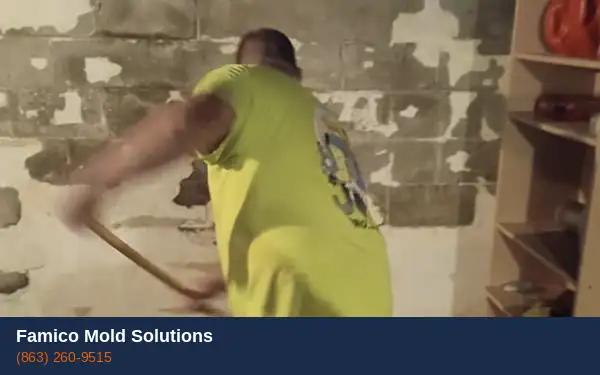 Commercial mold removal Haines City FL
