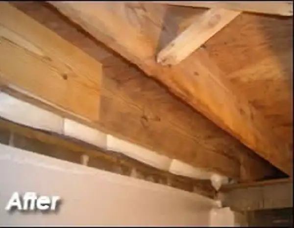 After: clean, treated wood beams in crawl space after Famico mold removal