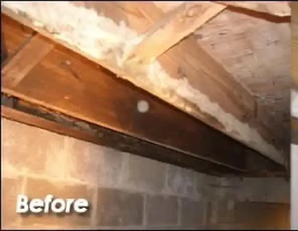 Before: mold growth on wood beams in crawl space of Haines City home