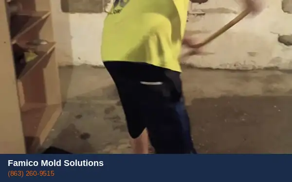 Crawl space mold removal Haines City FL
