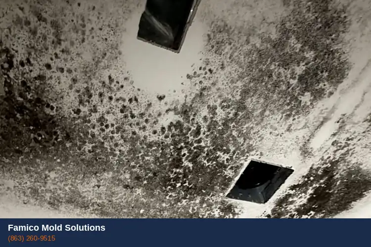 Severe black mold growth on ceiling of Haines City home after water damage
