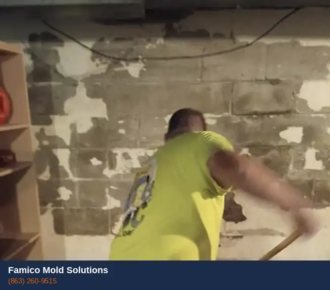 Famico Mold Solutions technician performing mold remediation in a Haines City FL home