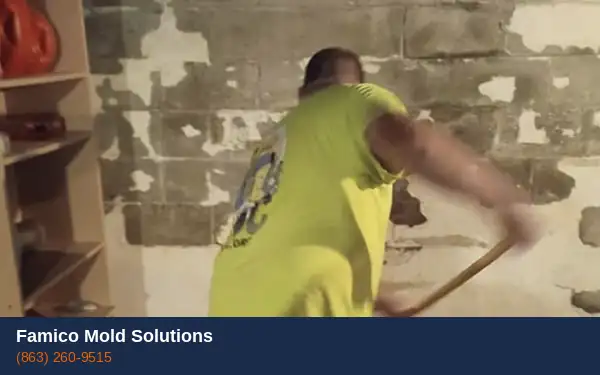 Water damage mold removal Haines City FL